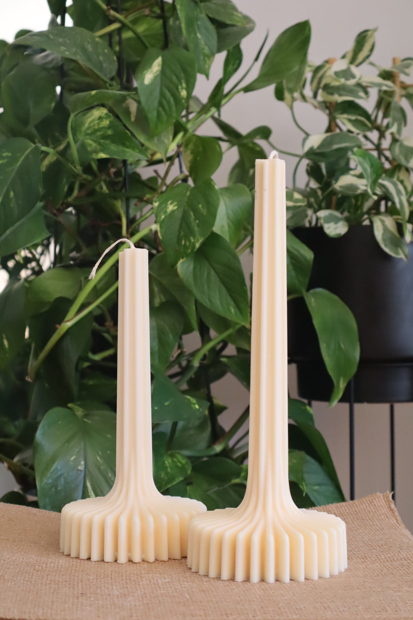 The Bloom Candle
