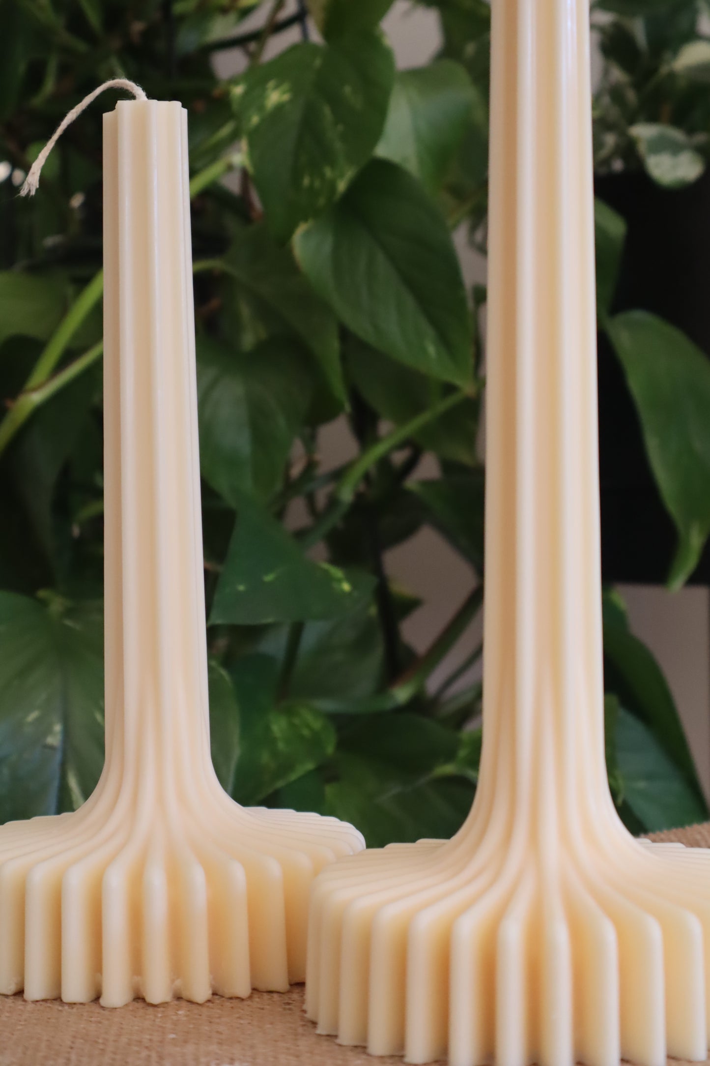 The Bloom Candle