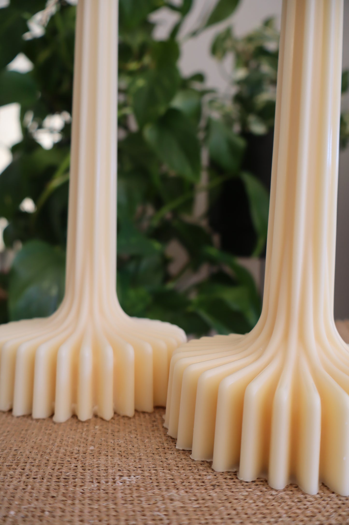 The Bloom Candle